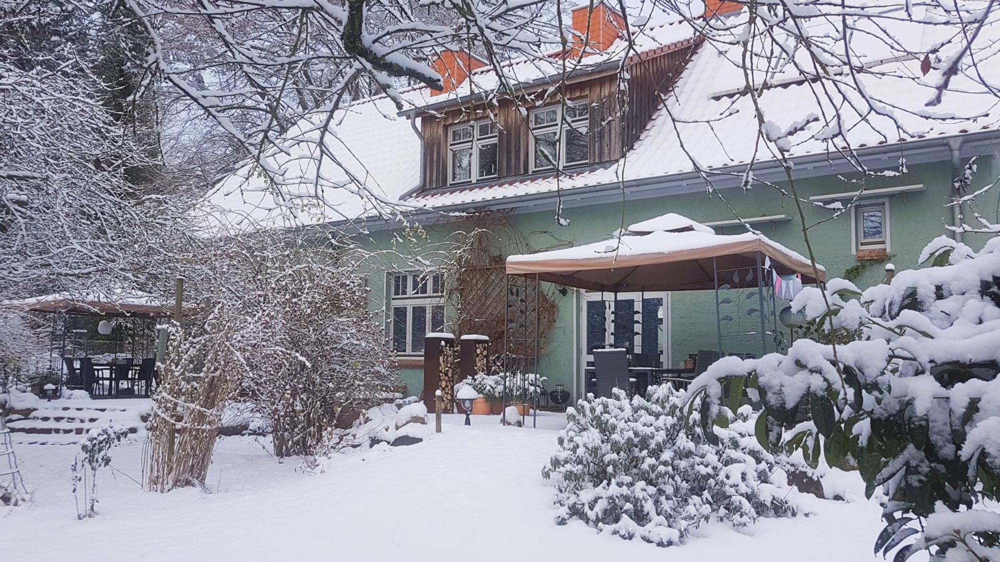 Ferienhaus Salvia Gremersdorf-Buchholz Exterior foto